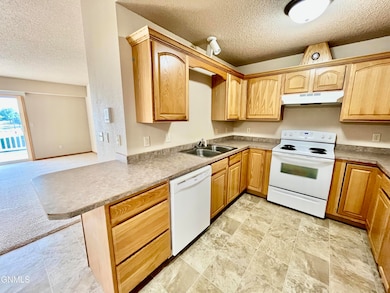 Photo Oct 08 2024, 4 28 08 PM