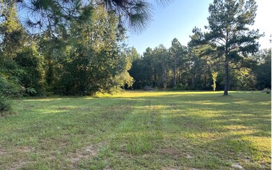 0 Highway 100 unit 128519, Lake Butler, FL - photo 4