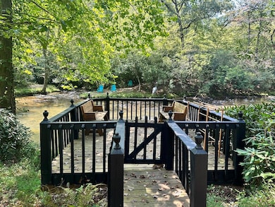 122 N Riverview Ln, Ellijay, GA 30536 - photo 4