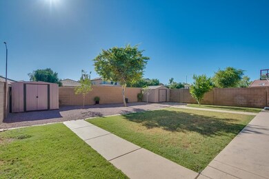 Large Backyard