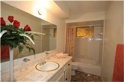 328 Windsor Square, Alvin, TX 77511 - photo 5