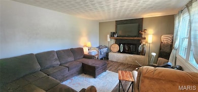 4090 Shiloh Cir, Pinckneyville, IL 62274 - photo 3