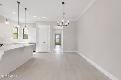 101 Long Creek Ln, Scott, LA 70583 - photo 5