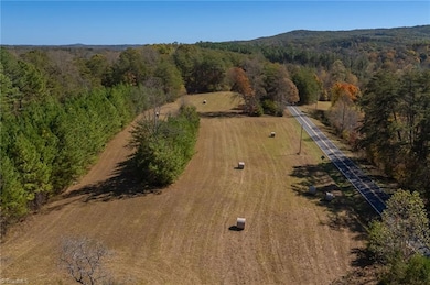 3364 N Carolina 66, Westfield, NC 27053 - photo 6