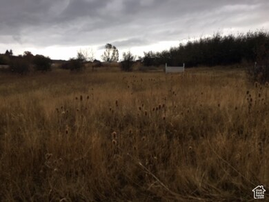 View of landscape featuring a rural view