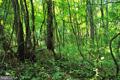 0 Withers Mill Rd unit 1002243054, Huntly, VA 22640 - photo 6