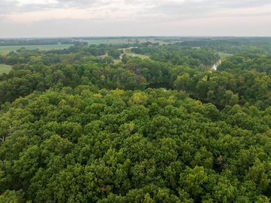 466 NW 391 Rd, Clinton, MO 64735 - photo 6