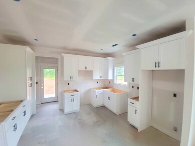 119 Lagoon Dr, McMinnville, TN 37110 - photo 6