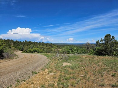 0 Alpine Meadows Dr unit F42 23-677, Trinidad, CO 81082 - photo 4