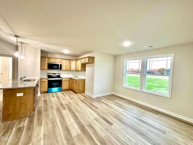 108 Dees Meadow Ln, Fremont, NC 27830 - photo 7