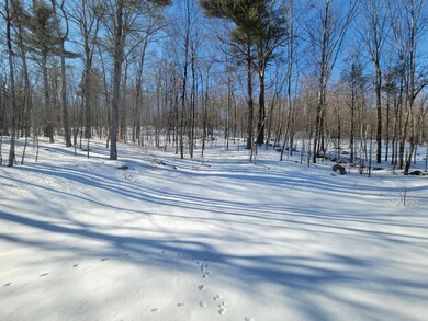 226 Hopper Rd, Acton, ME 04001 - photo 4