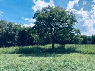 0 Ernest Campbell Rd unit 2074425, Shelbyville, TN 37160 - photo 7