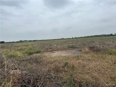 9.5 Mi N Doffing Rd, Mission, TX 78574 - photo 2