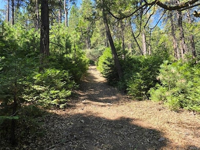 0 Lovers Ln unit 32502072, Crestline, CA 92322 - photo 3