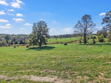 2760 Wallace Fork Rd, Princeton, KY 42445 - photo 6