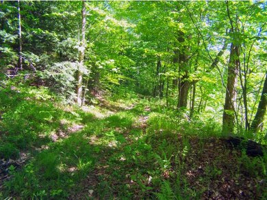 0 Parsons & Lake Hill Rd unit 4395997, Whitingham, VT 05361 - photo 3