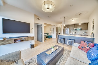 718 W Babcock St unit 411, Bozeman, MT 59715 - photo 2