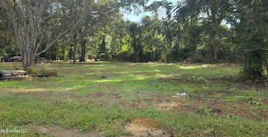 430 N 4th St, Brookhaven, MS 39601 - photo 3