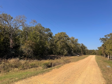 2308 Myrtle Ln, Cameron, TX 76520 - photo 7