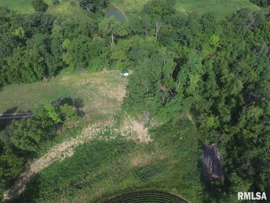 2282 Lone Rd, Ashland, IL 62612 - photo 4