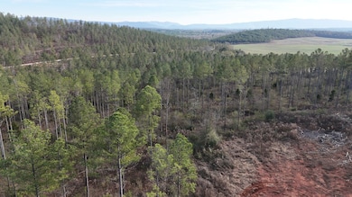 010 County Road 176, Piedmont, AL 36272 - photo 6