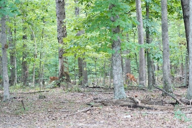 0 Prussia Rd, Waverly, OH 45690 - photo 3