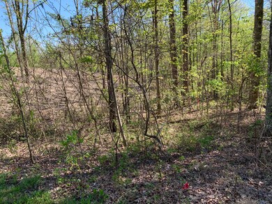 0 Frost Creek Dr, Crossville, TN 38571 - photo 6