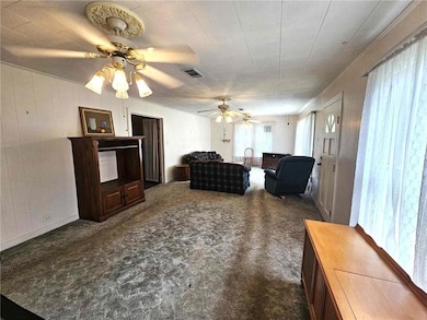 19214 Hwy 124 S None, Jonesville, LA 71343 - photo 5