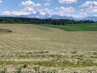 IMG_5730