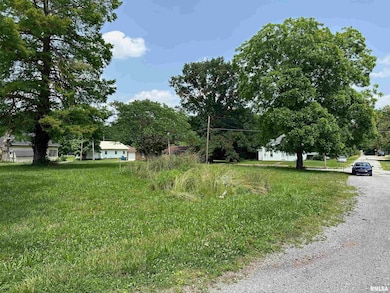 301 N Chestnut St, Christopher, IL 62822 - photo 3