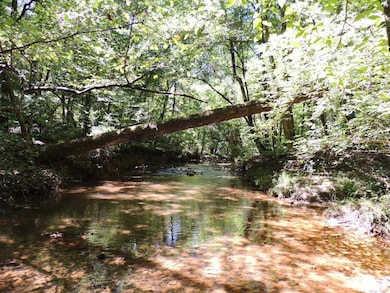 24.5+/- Ac Awebreys Gin Rd, Franklin, GA 30217 - photo 3