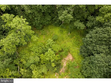 2 Weeden St, Lambertville, NJ 08530 - photo 6