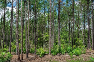 0 Longtown Rd unit 21128598, Ridgeway, SC 29130 - photo 4