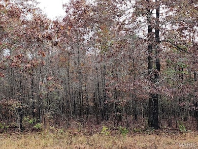 0 Carter Route 266 unit MAR24069627, Grandin, MO 63943 - photo 7