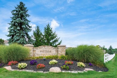 003_n Grove City OH 43123 USA