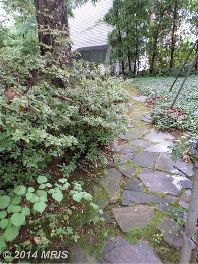 7214 Garland Ave, Takoma Park, MD 20912 - photo 5