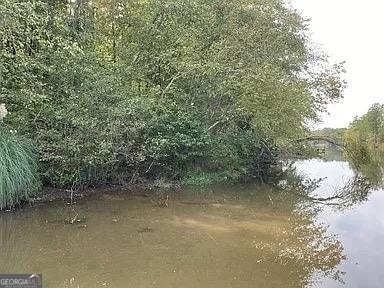 171 Bluegill Rd, Eatonton, GA 31024 - photo 6