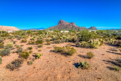 5 front landscape