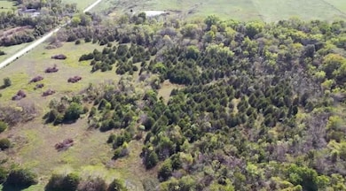 001 Sheridan Rd, Sheridan Township, MO 65648 - photo 4