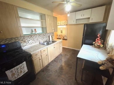 920 W Wilson St, Salem, OH 44460 - photo 3