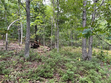 14 Oniell Ln unit 1228005, Bella Vista, AR 72715 - photo 3