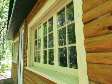 9030 12th Ave, Bitely, MI 49309 - photo 3