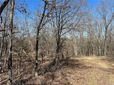 LOTS 3155,3156,3101 Rolfs Place, Union Township, MO 65326 - photo 6