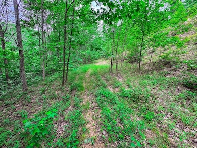 Elk River Rd unit Lot WP001, Procious, WV 25164 - photo 7