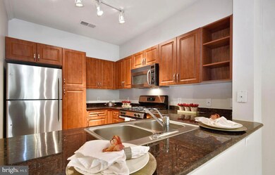 12917 Centre Park Cir unit 312, Herndon, VA 20171 - photo 4