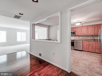 2331 Old Court Rd unit 205, Pikesville, MD 21208 - photo 5