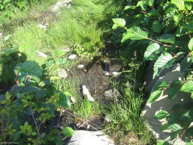 Creek