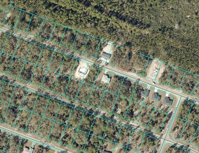 0 Malauka Ln unit MFRO6337047, Ocklawaha, FL 32179 - photo 2