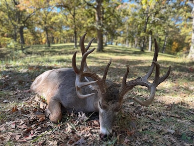 State Highway D (82 1+ - Acres unit Tract 4, Eolia, MO 63344 - photo 2
