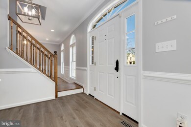 7203 Hickory St, Falls Church, VA 22043 - photo 6